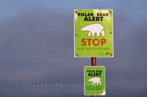 Photo: Polar Bear Warning Sign Hudson Bay