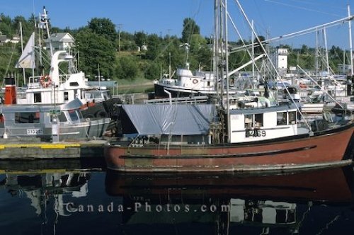 Photo: Powell River Harbour British Columbia