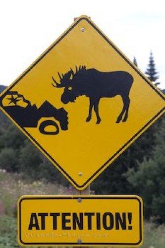 Photo: Moose Road Sign