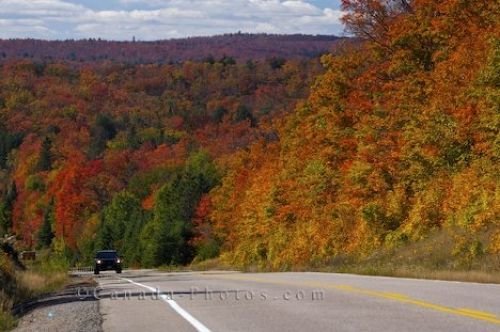 Photo: Roadside Attractions Algonquin Provincial Park