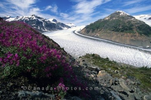 Photo: Salmon Glacier British Columbia