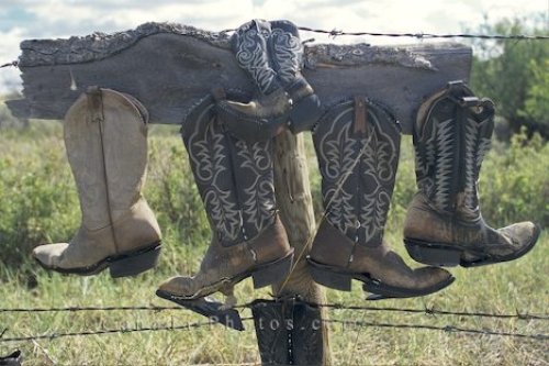 Photo: Cowboy Boots