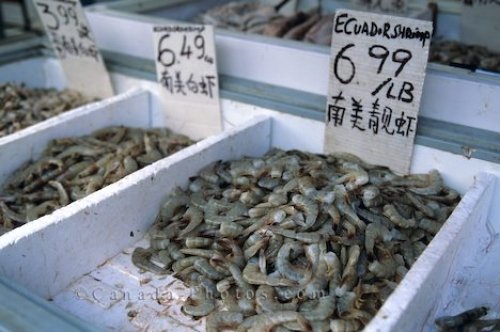 Photo: Shrimp Chinatown