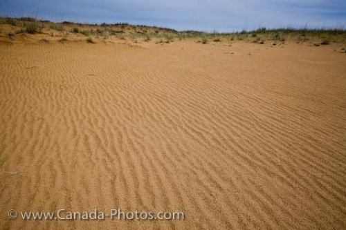 Photo: Spirit Sands Trail Sand Dune Patterns Manitoba Canada