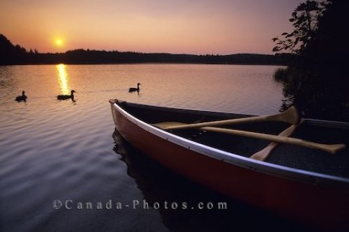 Photo: Sunset Canoe Algonquin Provincial Park