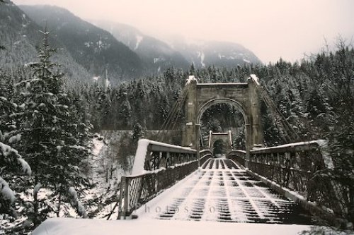 Photo: Alexandra Suspension Bridge Winter Wonderland