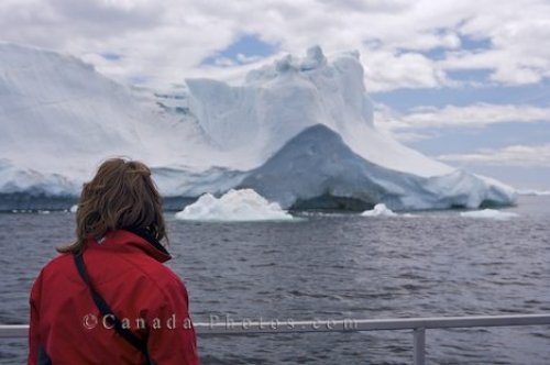 Photo: Tourist Iceberg Watching Newfoundland