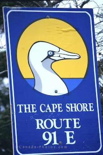 Photo: Travel Sign the cape shore