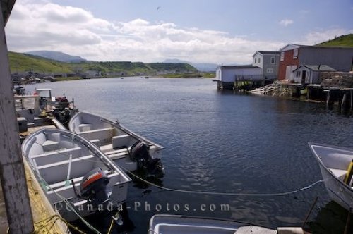 Photo: Trout River Harbour Newfoundland Labrador