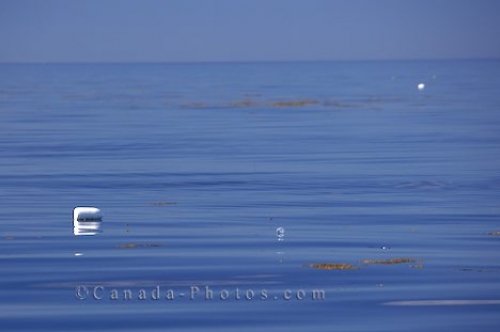 Photo: Water Pollution Nova Scotia