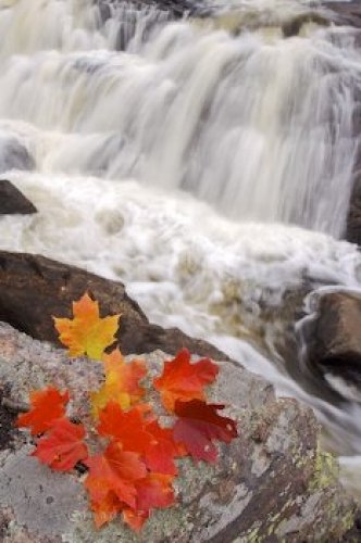 Photo: Waterfall Autumn Leaves Sand River Ontario