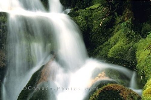 Photo: Waterfall Pictures Banff National Park