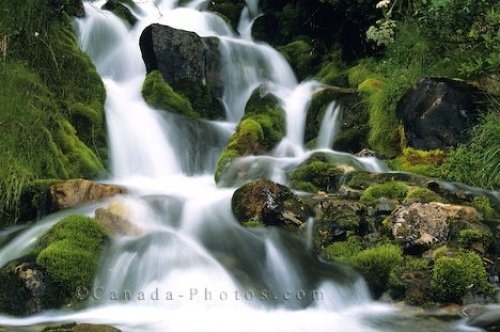 Photo: Waterfalls Banff National Park Moss