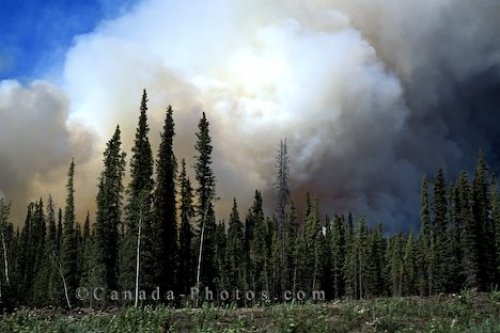 Photo: Wildland Fire Yukon