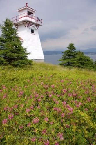 Photo: Woody Point Lighthouse Wildflowers Newfoundland