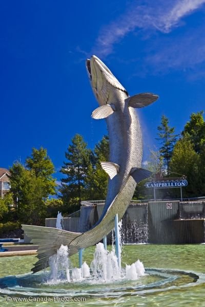 Photo: Atlantic Salmon Statue Restigouche River New Brunswick