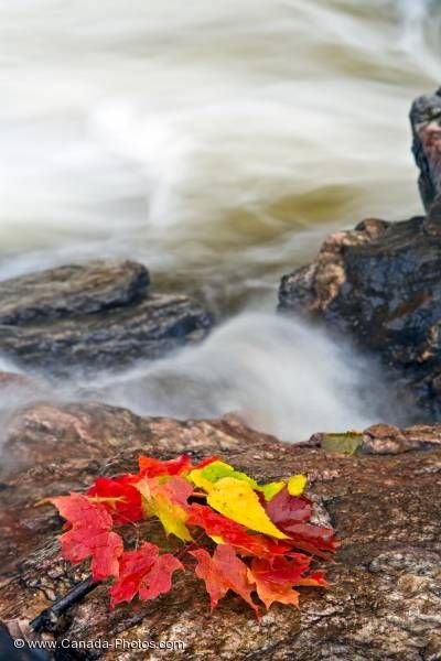 Photo: Autumn Leaves Scenic Waterfall