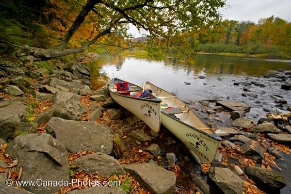 Photo: Autumn Oxtongue River Scenery Picture
