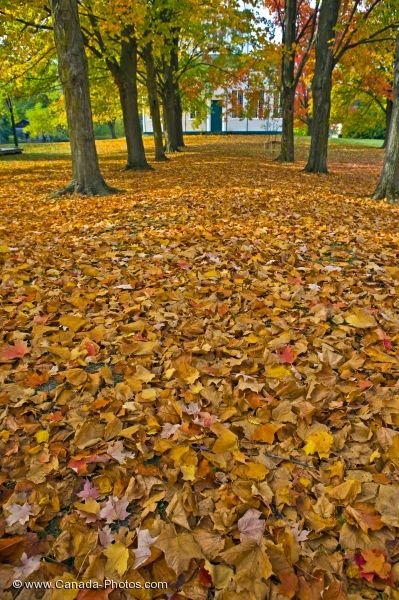 Photo: Autumn Scene Sharon Temple Ontario