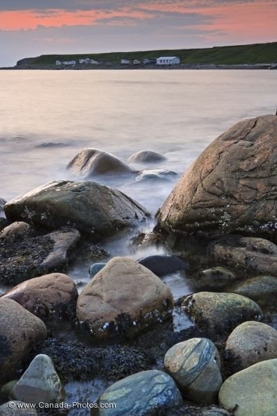 Photo: Barnacles Green Point Newfoundland Labrador