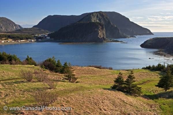 Photo: Bottle Cove Humber Arm Newfoundland