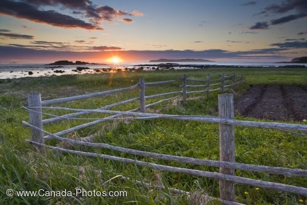 Photo: L Anse Aux Meadows Coastal Sunset Newfoundland Canada