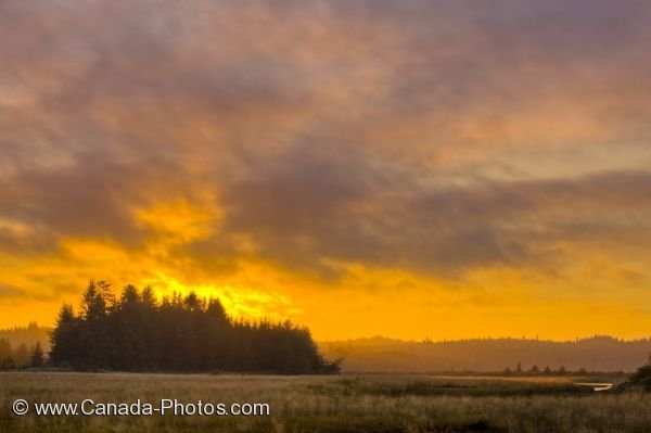 Photo: Cluxewe Sunset Northern Vancouver Island