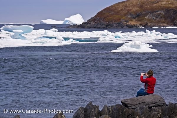 Photo: Coastline Iceberg Watching Newfoundland Town