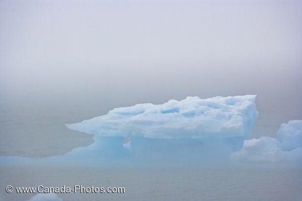 Photo: Foggy Pack Ice Belle Isle Strait Newfoundland