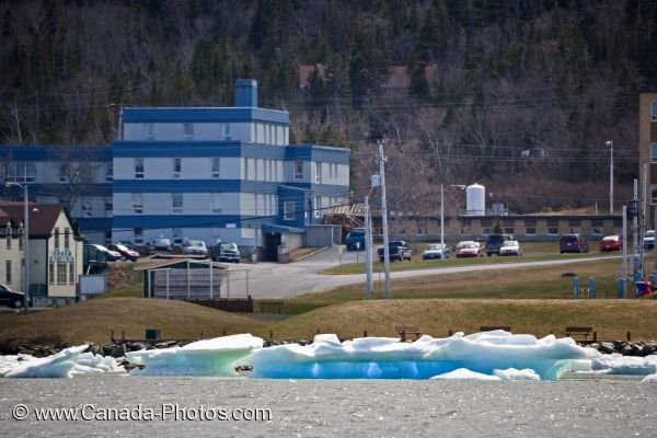 Photo: Harbour Ice St Anthony Newfoundland