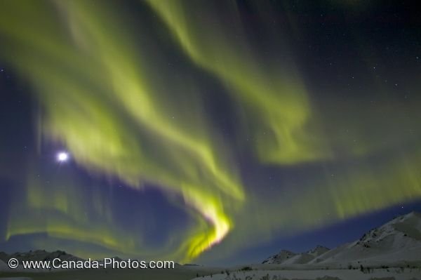 Photo: Beautiful Northern Lights Moon Yukon