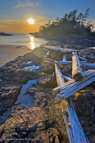 Photo: Scenic Pacific Rim National Park Coastline Sunset
