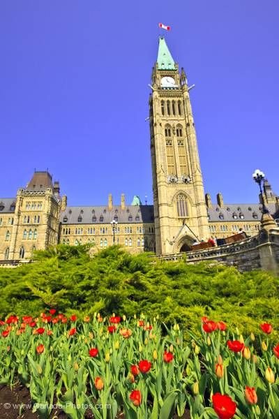 Photo: Parliament Buildings Tulip Garden Parliament Hill City of Ottawa